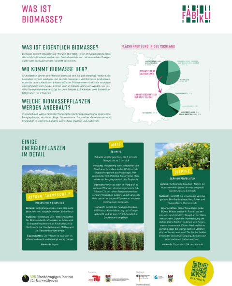 Was ist Biomasse?